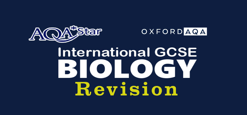 BiologyY11Rev