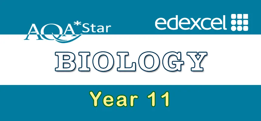 BioEdexcelY11